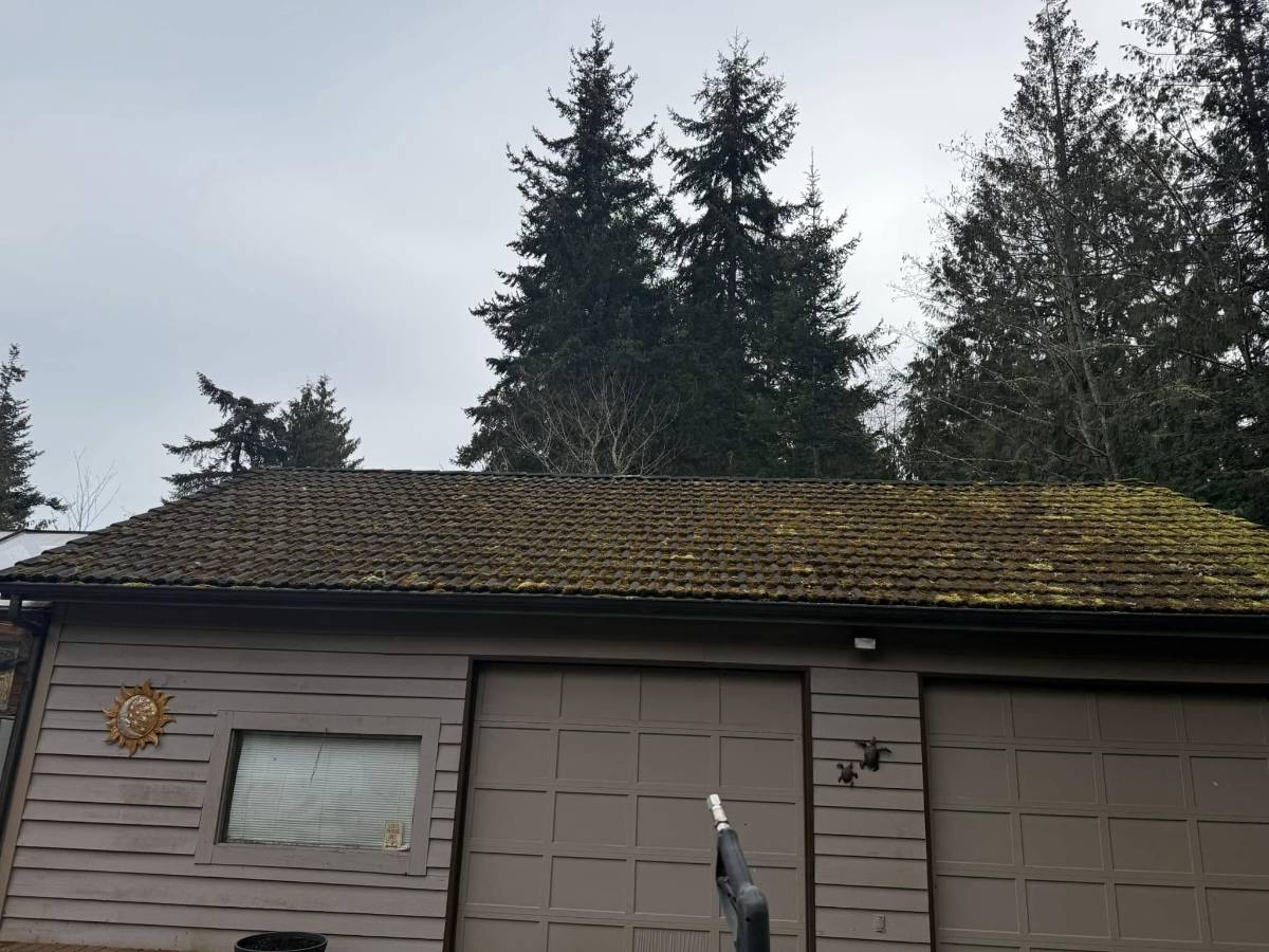 Before house washing