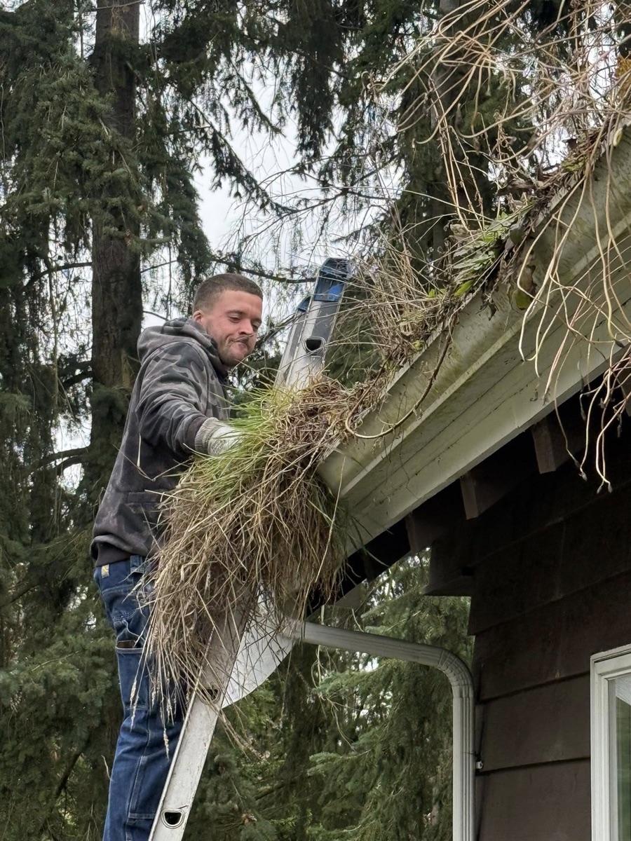 Gutter Cleaning