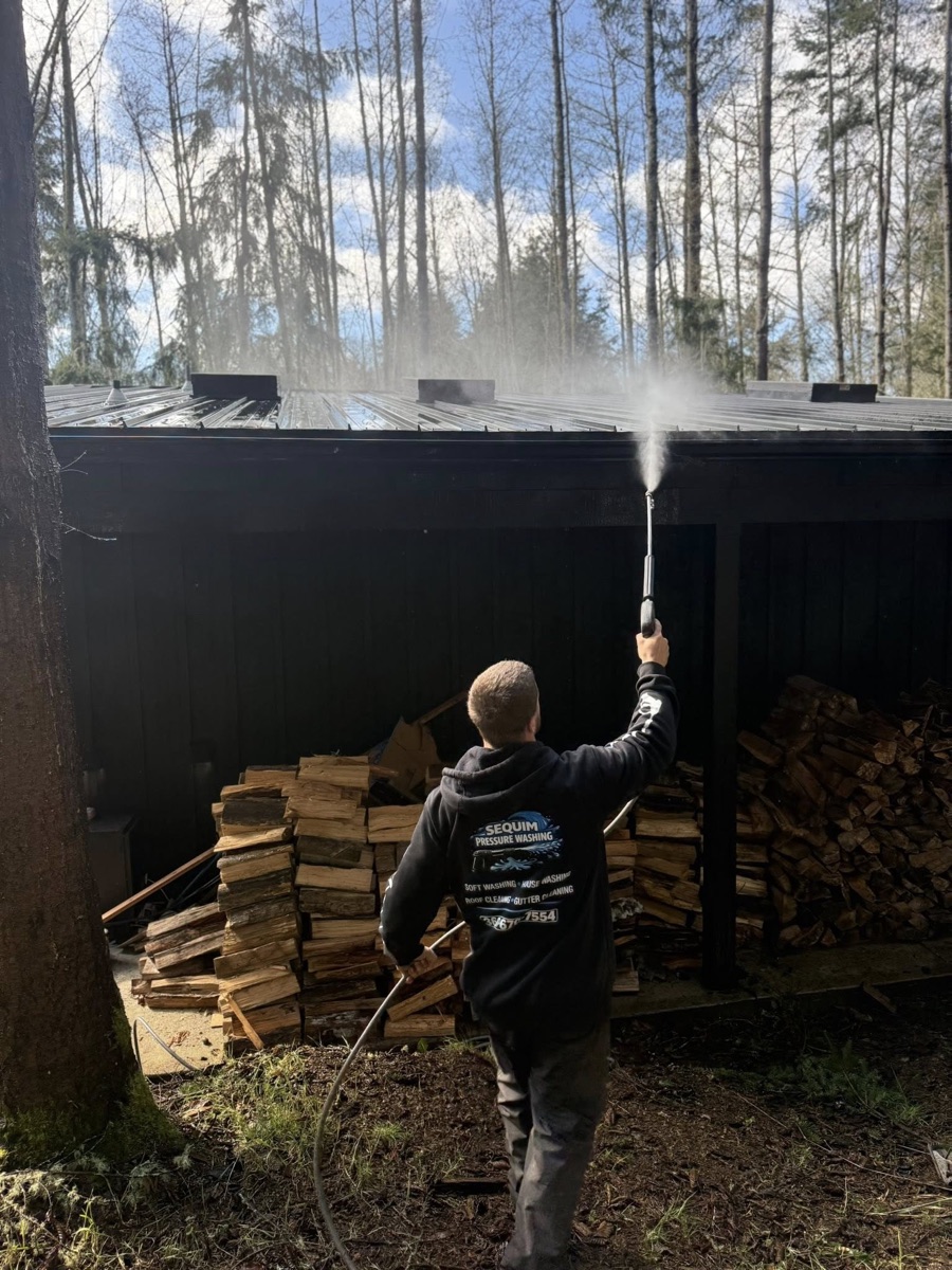 Roof Cleaning
