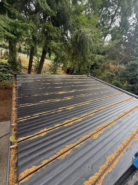 Before exterior cleaning