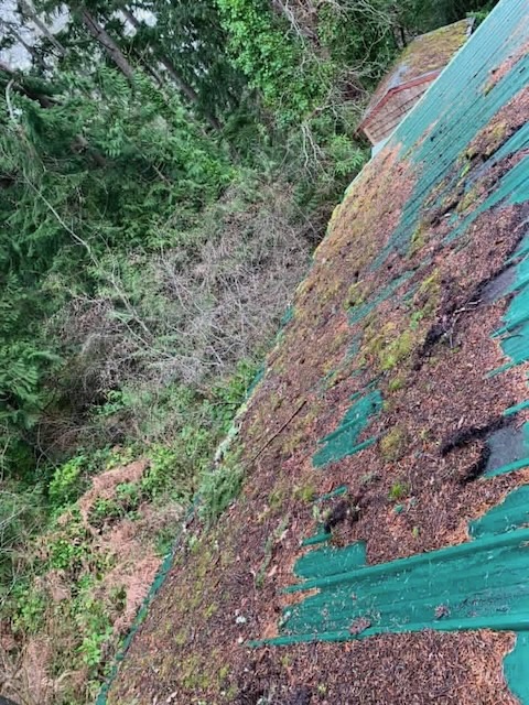 Before exterior cleaning